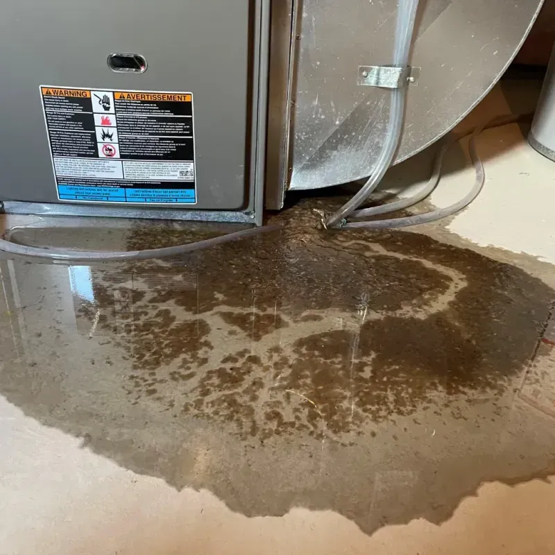 Appliance Leak Cleanup in Hamilton County, IL